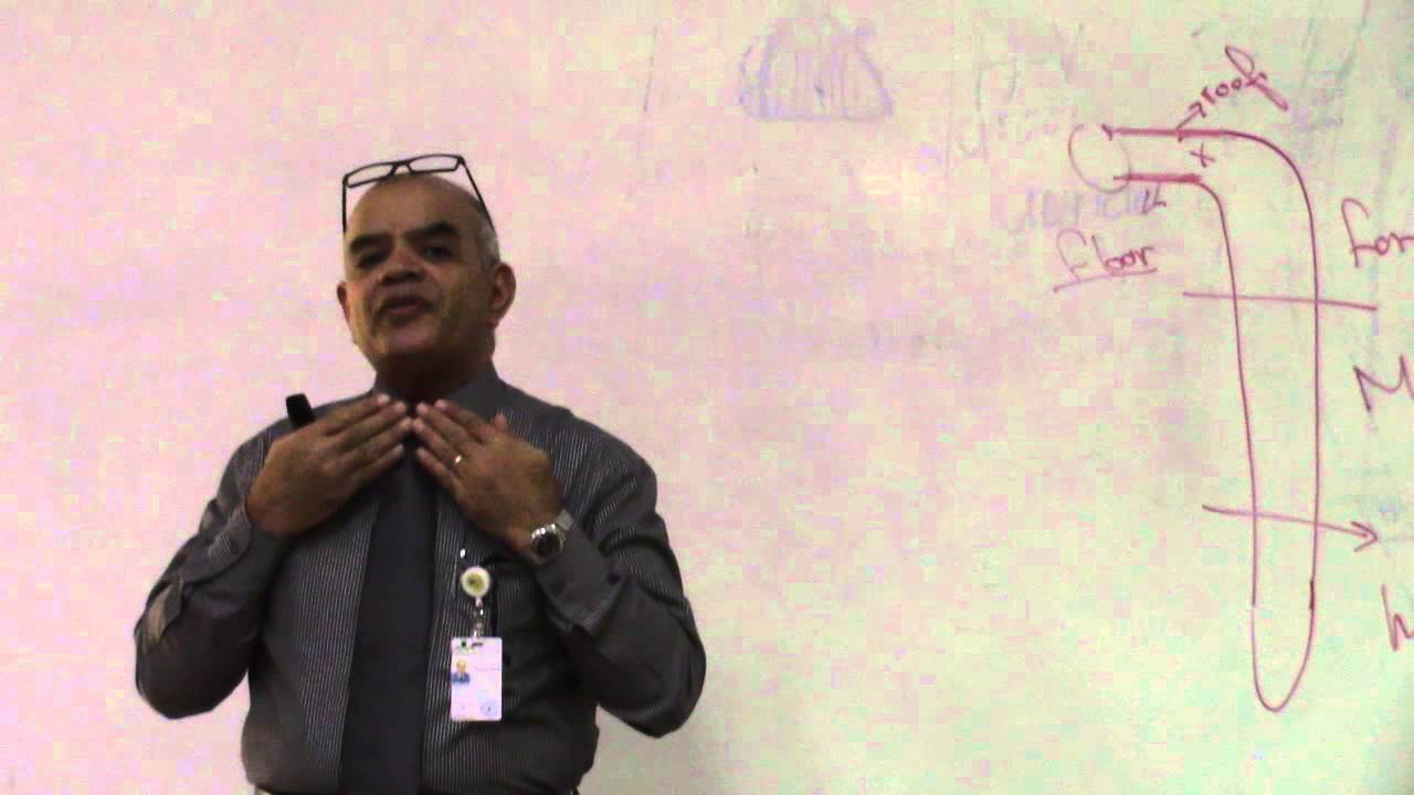 Respiratory System - YouTube