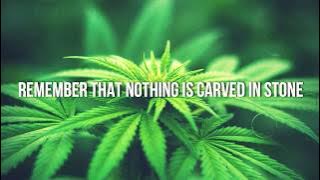 Heart like a lion Lyrics by Rebelution