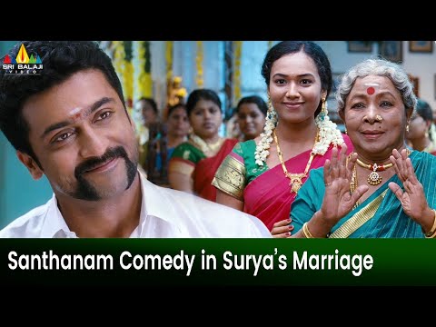 Santhanam's Comedy in Suriya's Marriage | Singam | Latest Telugu Comedy Scenes @SriBalajiMovies - SRIBALAJIMOVIES