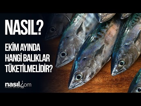 Video: Ekim Ayında Ne Tür Balıklar Yakalanır?