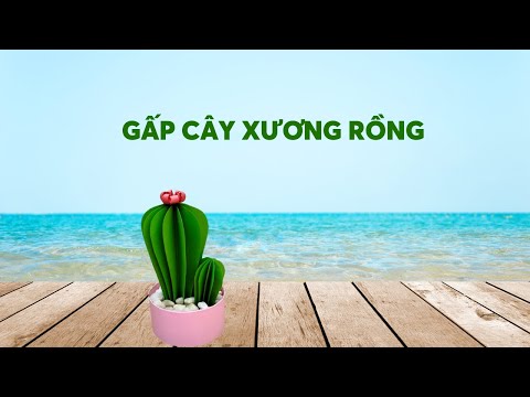 Video GẤP CÂY XƯƠNG RỒNG| gấp chậu hoa xương rồng đơn giản|... - youtube