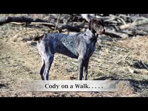 Cowboy Cody