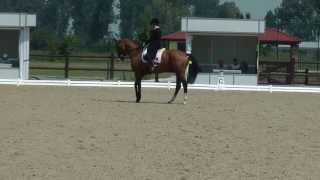 Defne Morova 2013 Balkan Championships Individual