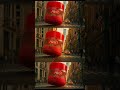 HIBA LIP BALM | create an ai ad with me | create an ai ad | create an ad using ai