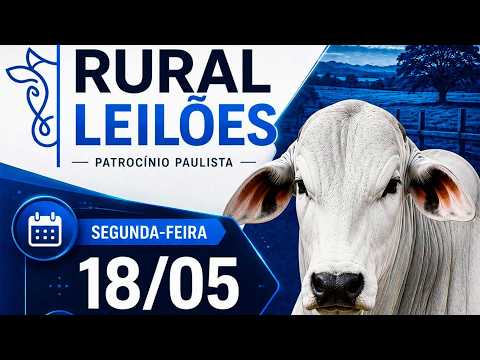 ✅📌 Leilão Virtual e Presencial Rural Leilões - Patrocínio Paulista/SP