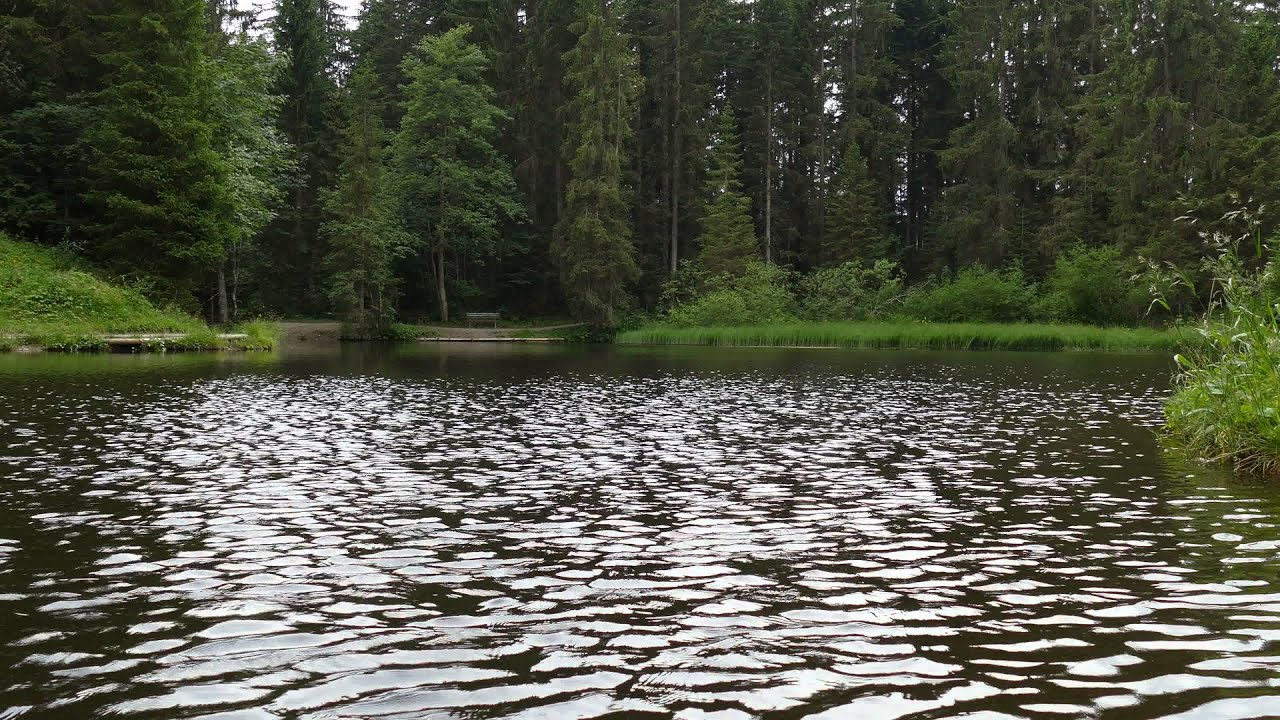 Panasonic LUMIX FZ1000 RAW data - Bödele