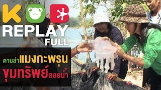 กบนอกกะลา REPLAY : ตามล่าแมงกะพรุน ขุมทรัพย์ลอยน้ำ | FULL (13 ก.พ.52)