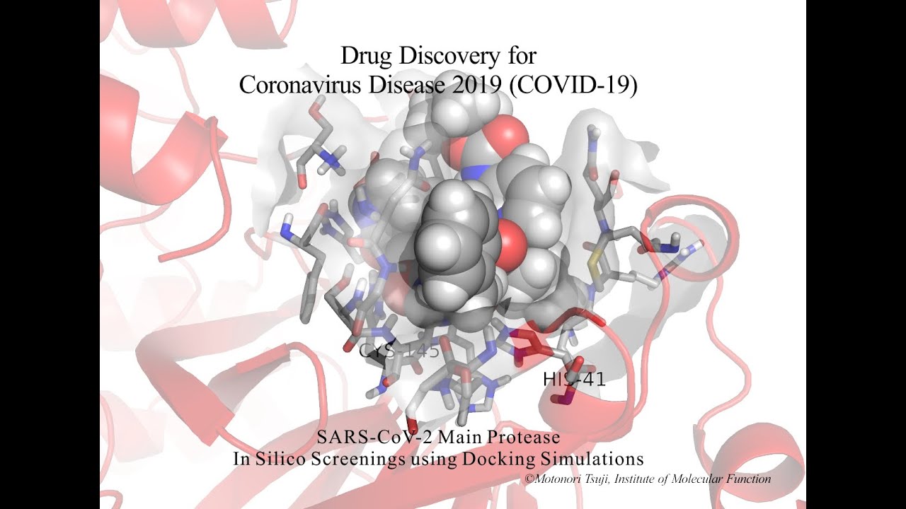分子機能研究所|新型コロナウイルス(SARS-CoV-2, 2019-nCoV 分子機能研究所|新型コロナウイルス(SARS-CoV-2, 2019-nCoV