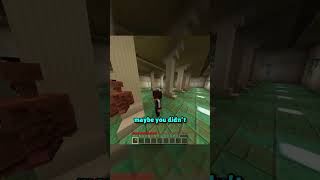 3 Invisible Hiders vs A Long Hallway #minecraft