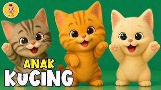 Lagu Anak Anak - ANAK KUCING MEONG MEONG - Lagu Anak & Balita Terbaru Viral Terbaik