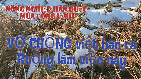 LÀM NÔNG ở Hàn quốc vào mùa đông sẽ lạnh như thế này. VỢ CHỒNG HÀN VIỆT ra ruộng