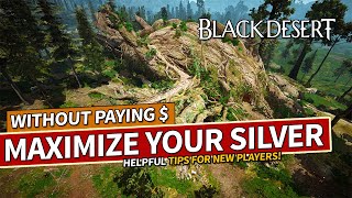 Maximizing Your Silver in Black Desert Without Spending Money