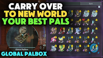 GLOBAL PAL STORAGE BOX DEMONSTRATION! | 2025