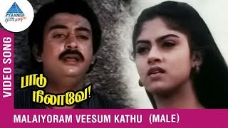 Paadu Nilave Tamil Movie Songs | Malaiyoram Veesum Kathu Video Song | Mohan | Nadhiya | Ilayaraja