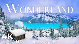 Winter Wonderland 4K • Relaxation Film with Beautiful Relaxing Music • Nature video 4K Ultra HD