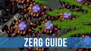 StarCraft 2: Zerg vs Protoss Unit Compositions & Tech Switches!