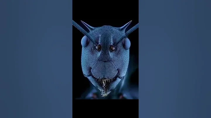 how things look  Zoomed in