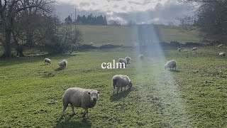 CALM