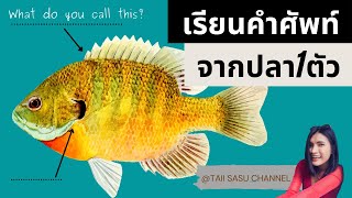 อวัยวะของปลา | Body parts of fish | เรียนคำศัพท์ภาษาอังกฤษฟรี
