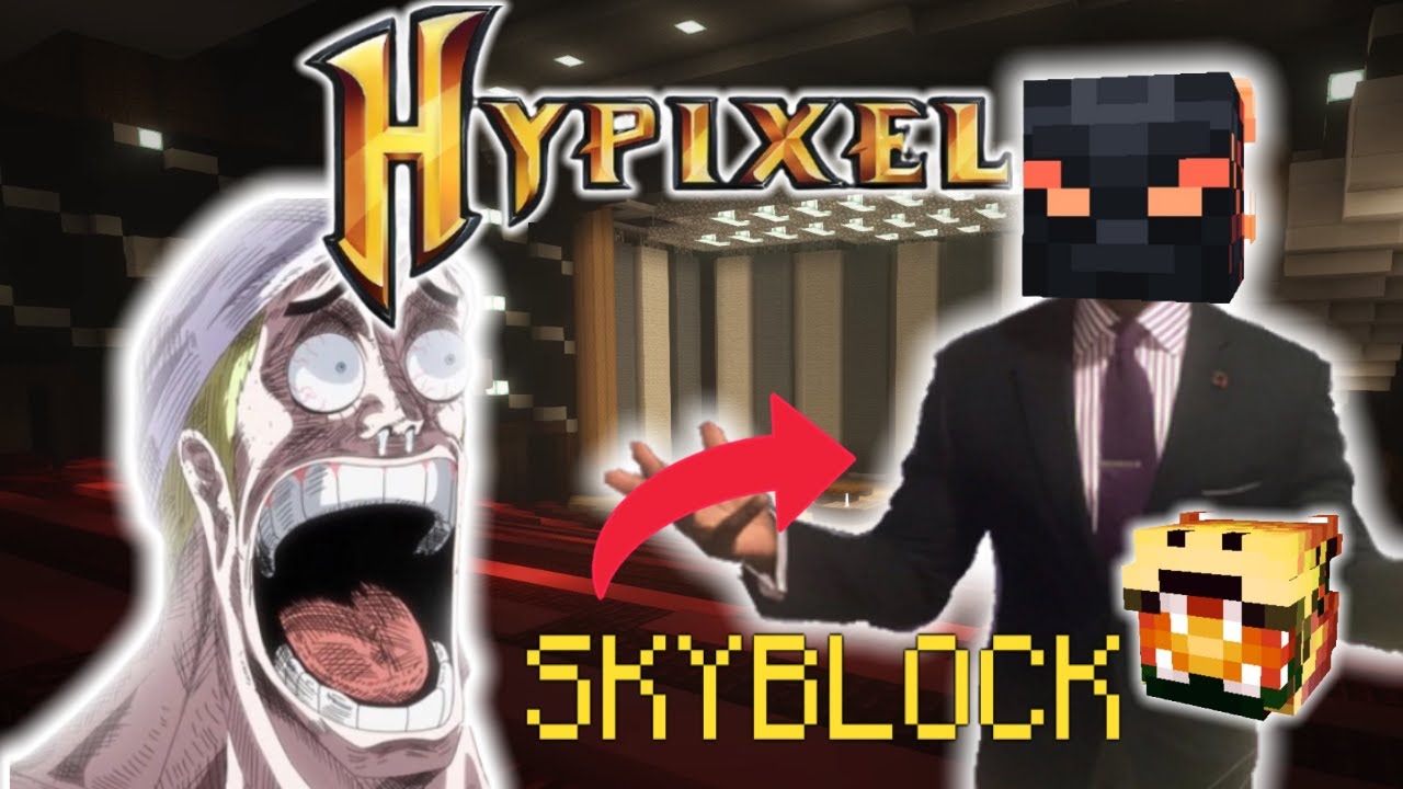 The BEST Outfits in Hypixel SkyBlock​