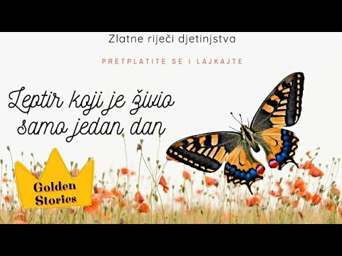 Video: Leptir Koji živi Jedan Dan. Vinjeta Iz Prakse