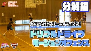 【分解編】ゼロから始めるチームオフェンス！ドリブルドライブモーション③ / Dribble Drive Motion Offense③【市立柏高校女子バスケ部】