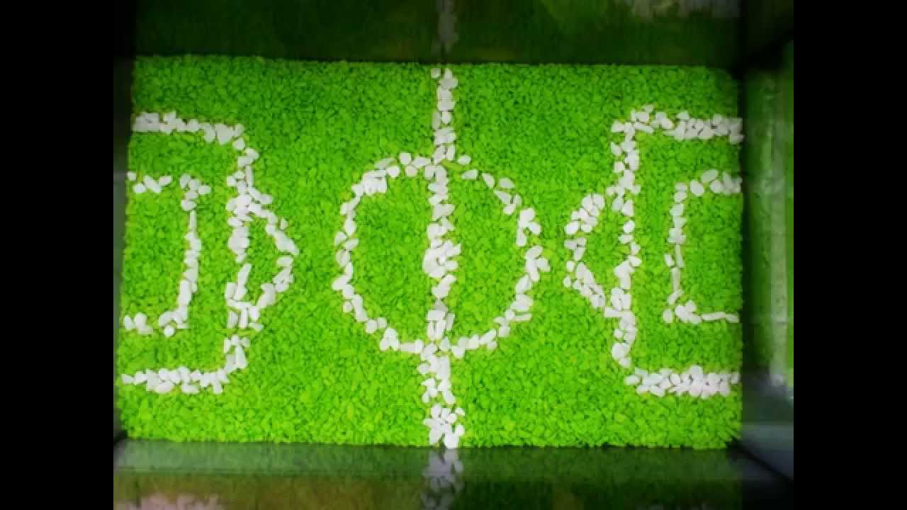 Soccer Field Aquarium (Voetbalveld) YouTube