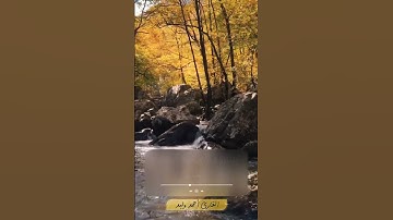 ﴿إِنَّمَا جَزَاءُ الَّذِينَ يُحَارِبُونَ اللَّهَ وَرَسُولَ﴾ #سورة_المائدة #القارئ_أحمد_وليد