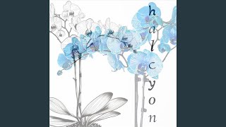 Halcyon (For Diana Olifirova) (Live)