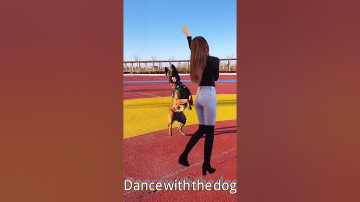 與狗共舞，Dance with the dog👍😃