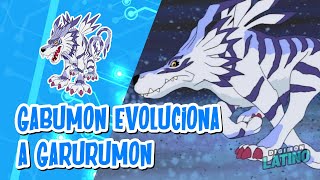 Gabumon digievoluciona a Garurumon #DigimonAdventure