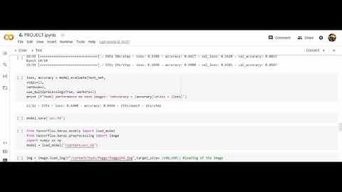 Automated Weather Classification Using Transfer Learning Demo video