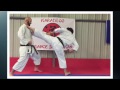 France showakan  karatedo