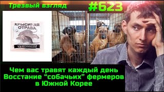 ⚡️#623 Крысиный Яд Для Человечества ⚡️  Сопротивление Запрету Собачатины Набирает Обороты ⚡️