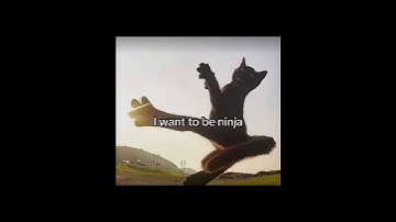 I WANT TO BE NINJA! 🥷😼