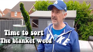 KOI POND BLANKET WEED REMOVAL** CLOVERLEAF PRODUCT TEST AND RESULTS**