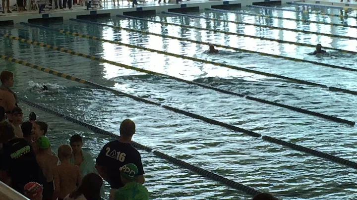 10&U LCM 200 Medley Relay Age Group Illinois State...