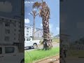 Sirba Afaan Oromoo Nagatte Hin Deeminii Eessumatti Asumatti Hojjennee Soromnaati Amerikaa Kanaada Sirba Afaan Oromoo Nagatte Hin Deeminii Eessumatti Asumatti Hojjennee Soromnaati Amerikaa Kanaada