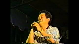 1993年,結婚錄影帶Ⅱ