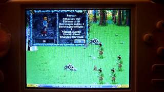 GCW-Zero : DosBox - HOMM