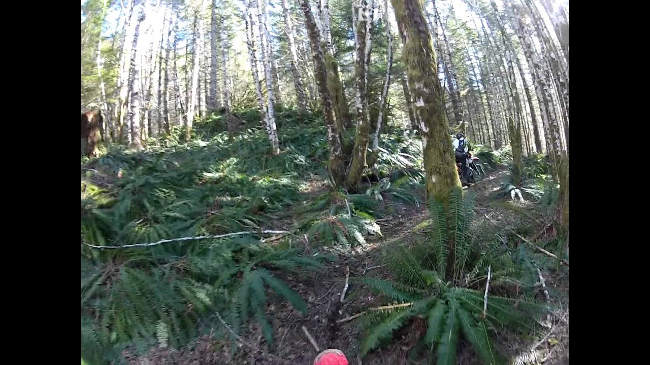 Scenic Dirt Bike ride on some single track in Oregon 2012