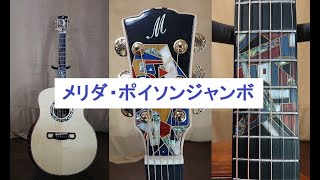 285】メリダ・ポイソン（ジャンボ）フラッグシップモデル + OS1 2025.3