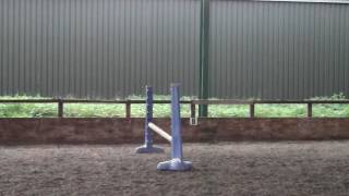 DSCF0960