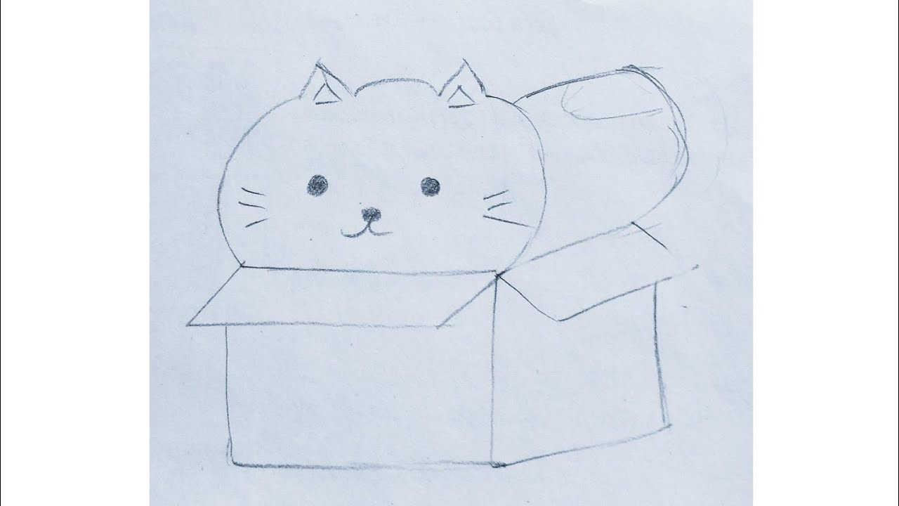 How to draw a cute cat in a box | how to draw a cat | - YouTube