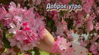 Доброе Утро. Не Падай Духом И Не Унывай.все Хорошо.