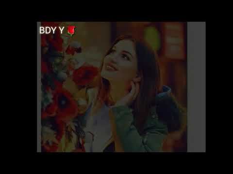 حسام الرسام الاولى بحياتي انتي حالات واتس اب تصميمي