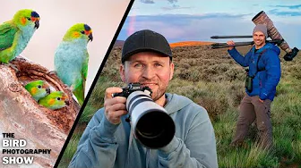 Critical Ingredients Of EVERY Photo!