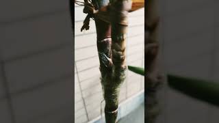 The Garden Song -John Denver