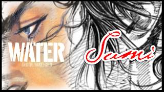 Let's Look at The Vagabond ART BOOKS WATER & SUMI
