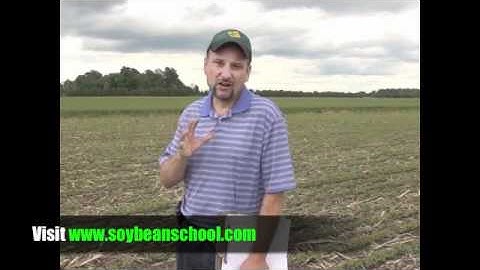 Soybean School - A Realistic Approach to Double Crop Soybeans